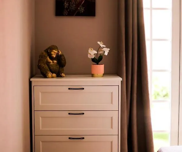 Palma Canarias أذيخي