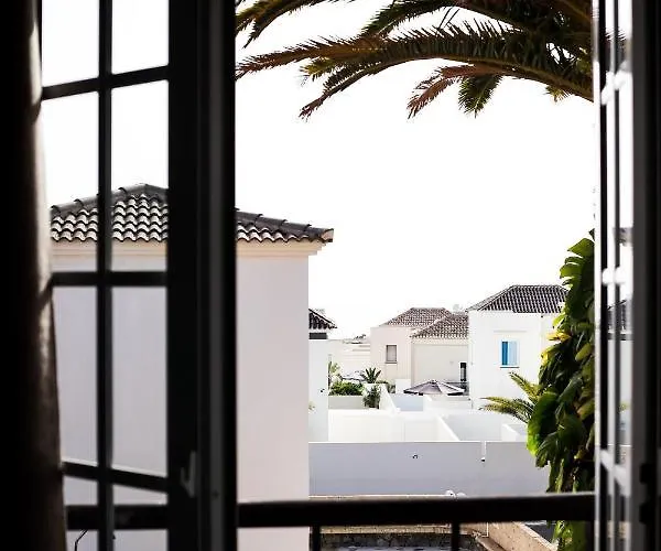 Palma Canarias فيلة أذيخي